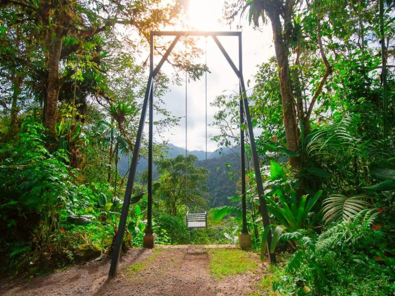 Ecuador Bellavista - lodge