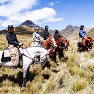 Ecuador - Cotopaxi - horse
