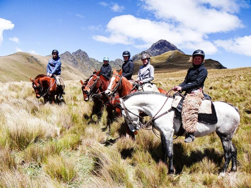 Ecuador - Cotopaxi - horse