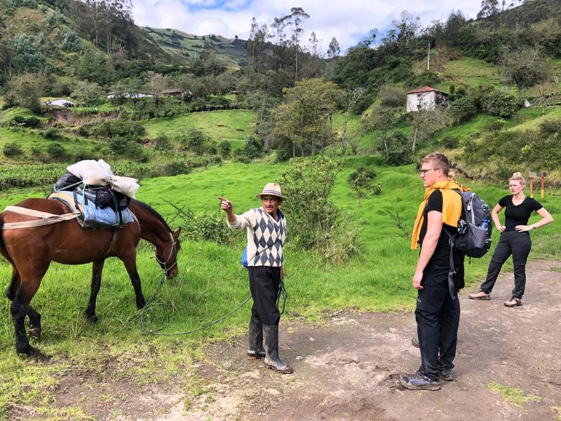 Ecuador - Quilotoa - horse