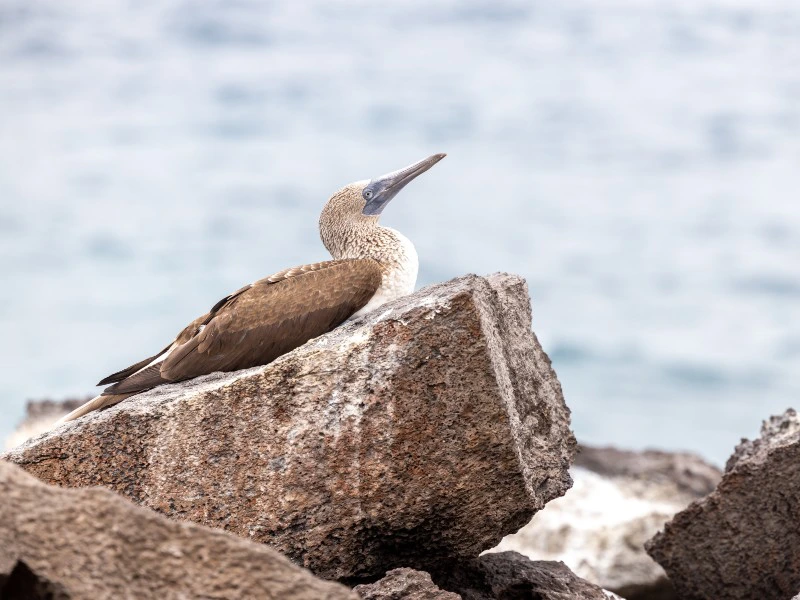 Highland tour San Cristobal-10
