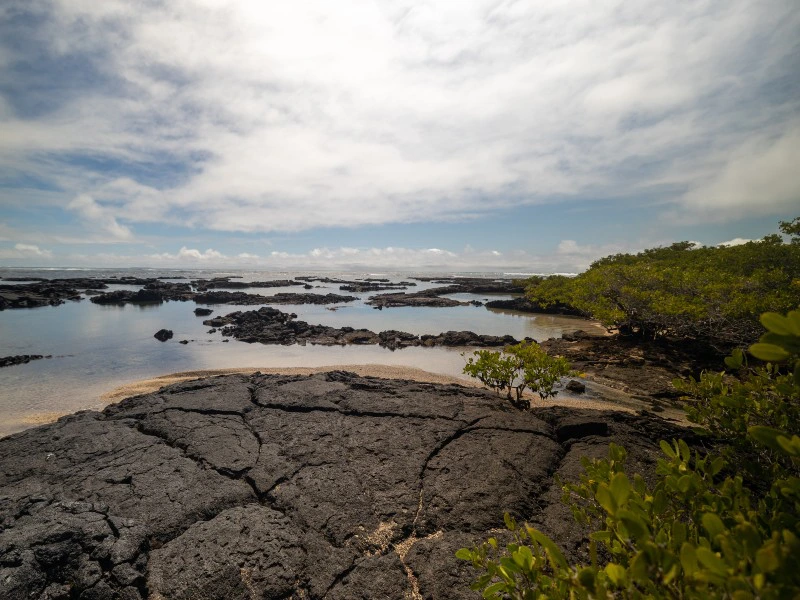 Isabela Los Tuneles Galapagos