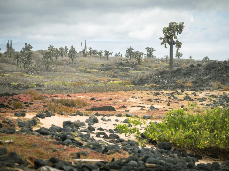 Santa Cruz Bay Tour 2