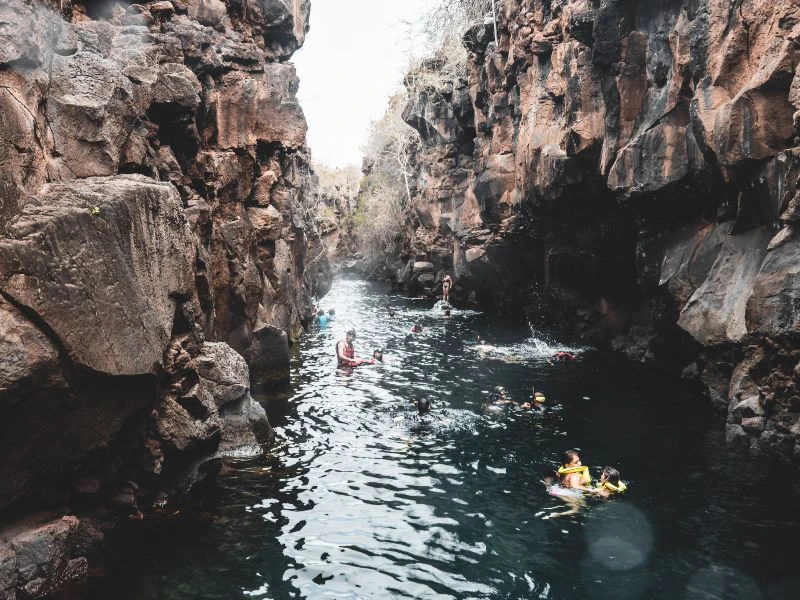 Bay Tour Santa Cruz Galapagos
