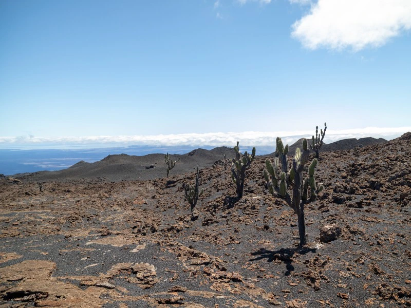Sierra Negra Galapagos