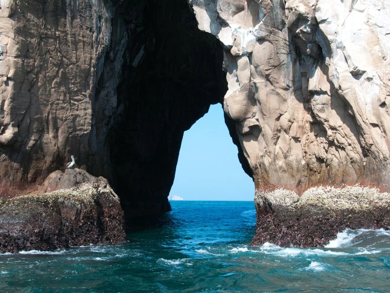 Kicker rock Galapagos eilandhoppen