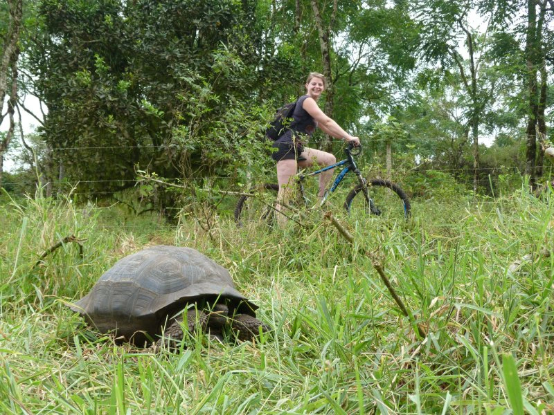 galapagos mountainbiken schildpadden isabela