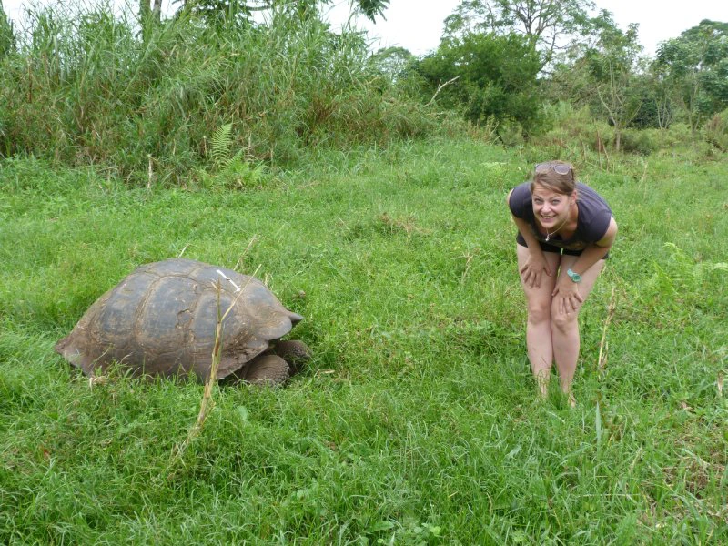 galapagos schildpadden