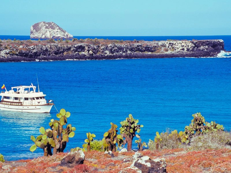 eiland-plazas-ecuador