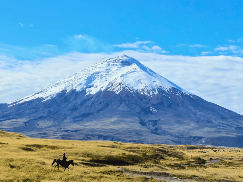 Cotopaxi vulkaan Ecuador