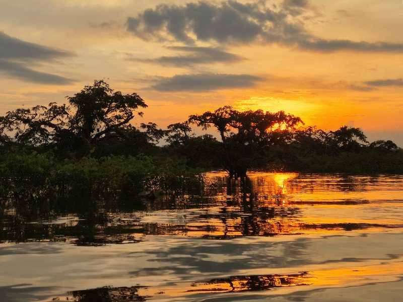 Cuyabeno Ecuador zonsondergang bij lagoon