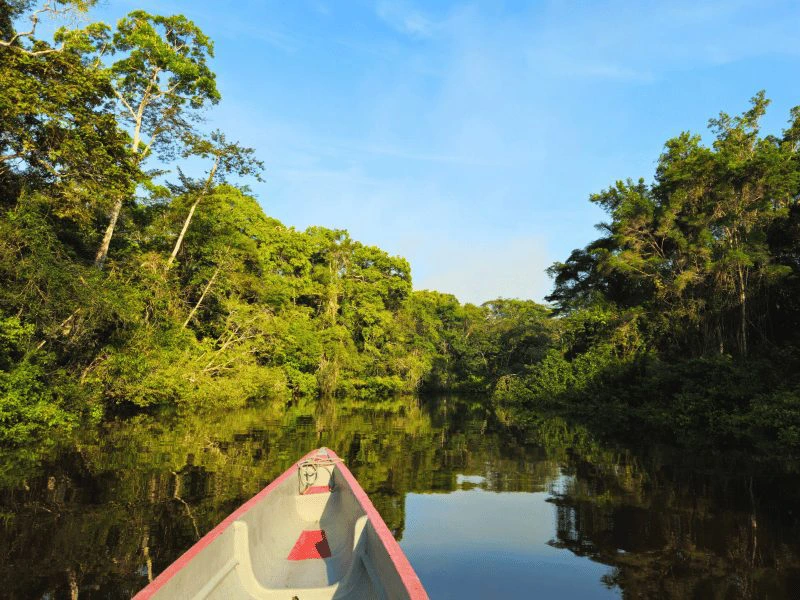 Cuyabeno jungle lodge Amazone Ecuador