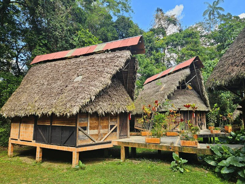 Cuyabeno jungle lodge Amazone Ecuador