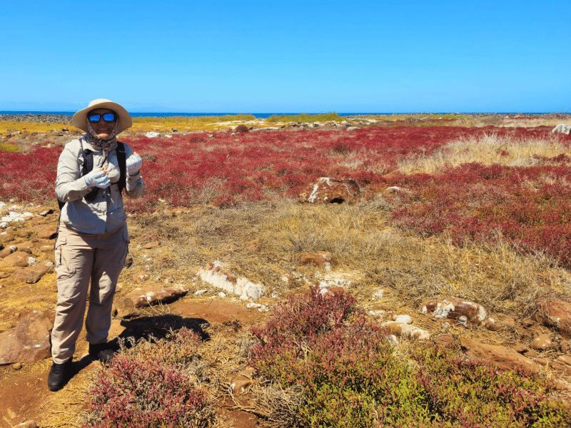 Onbewoonde eilanden Galapagos ontdekken