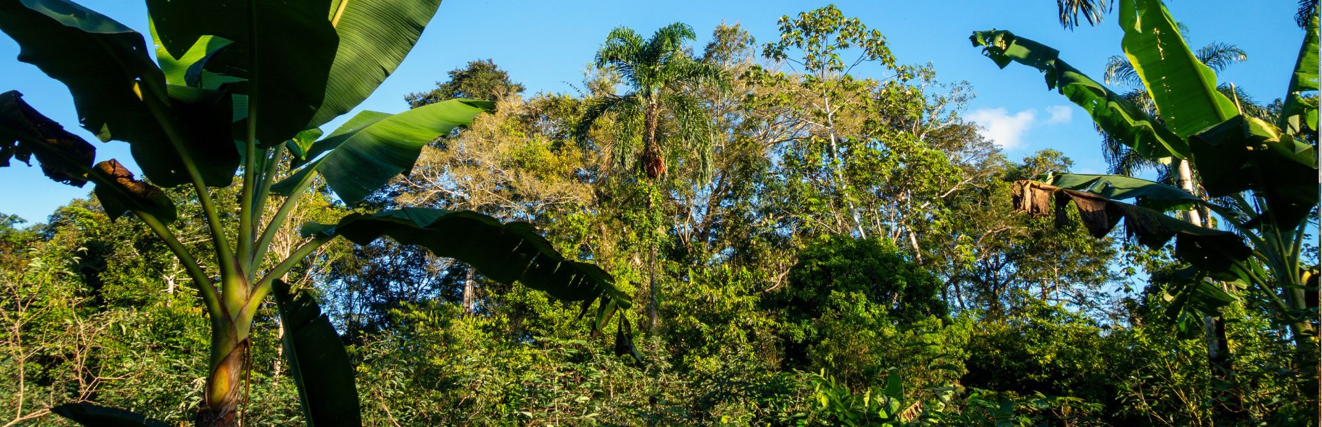 Amazone Ecuador rondreizen