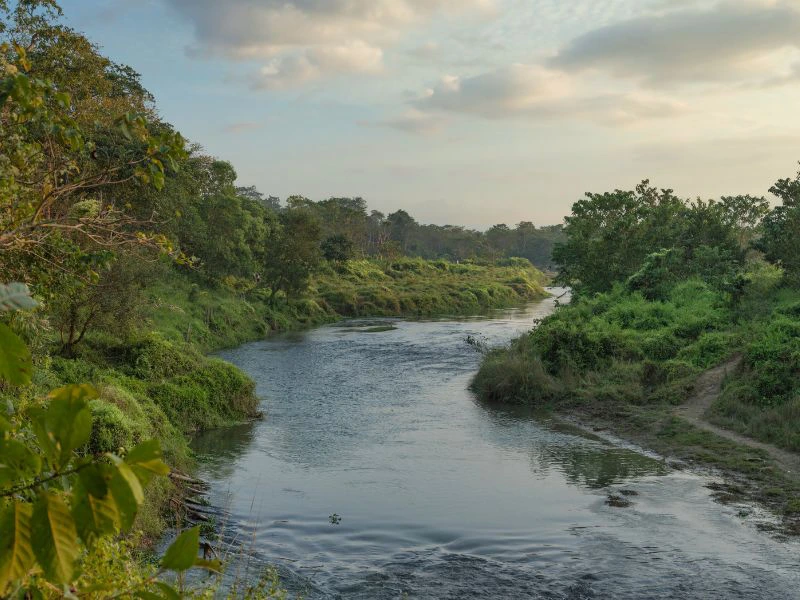chitwan national park
