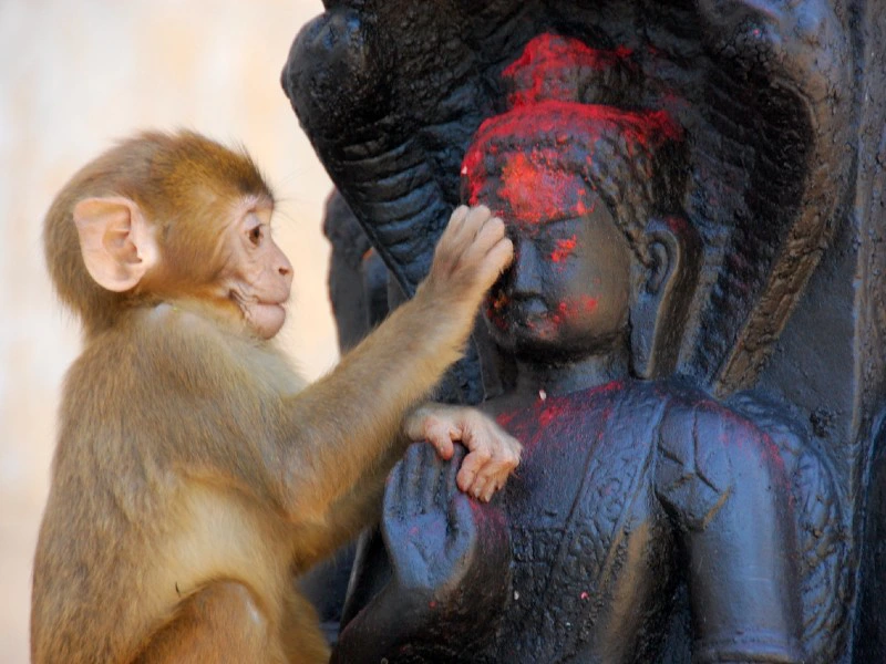 Nepal Kathmandu aap bij tempel