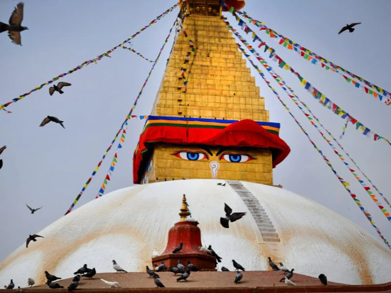 reizen nepal kathmandu apentempel