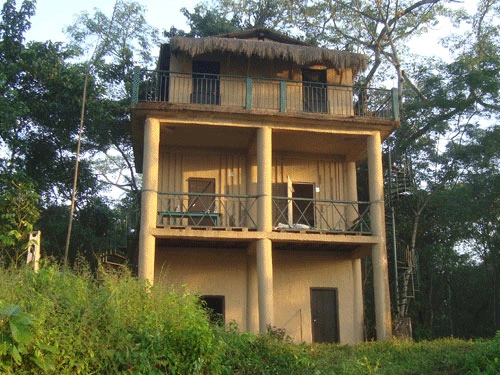 chitwan jungle lodge