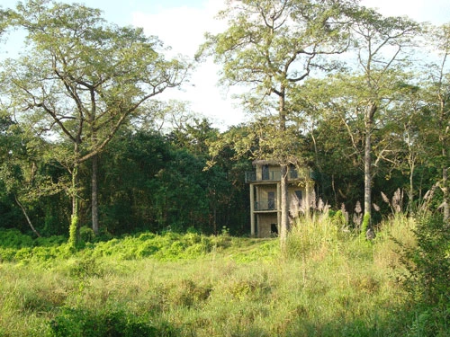 Lodge in de jungle