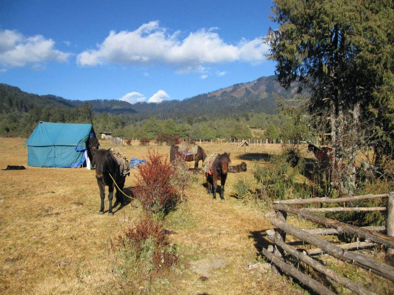 de accommodatie tijdens de trekking