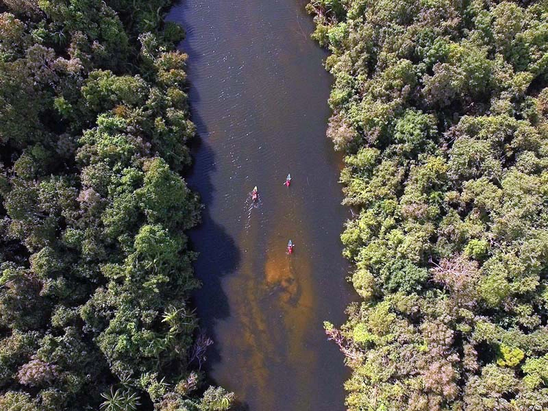 Cardamom gebergte in cambodja