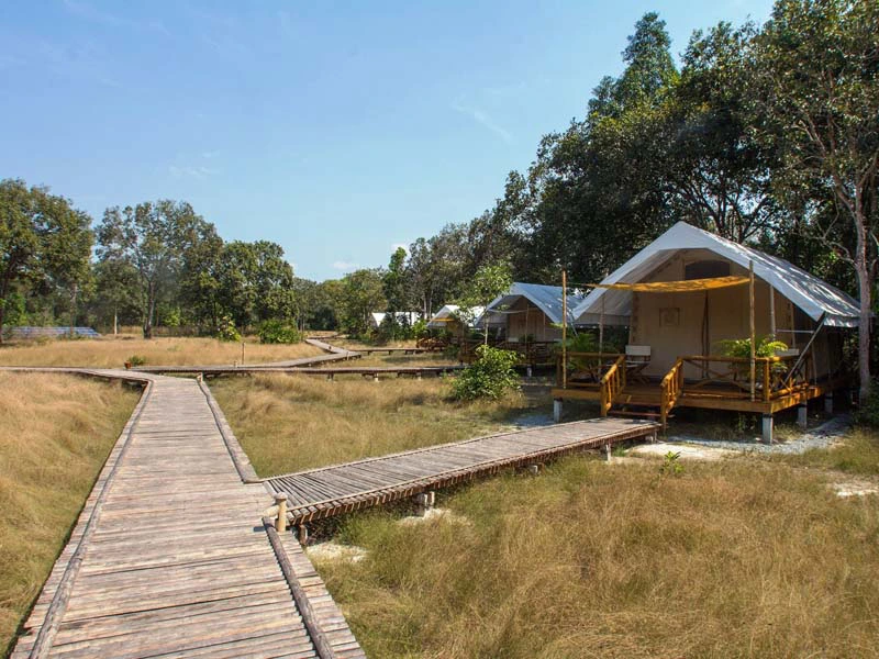 Overnachting in het Cardamom gebergte