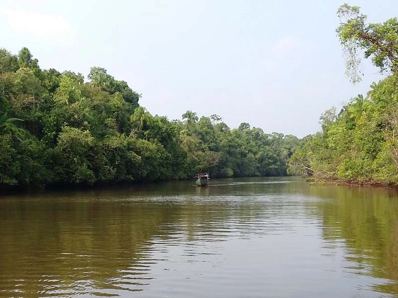 Cardamom gebergte in cambodja