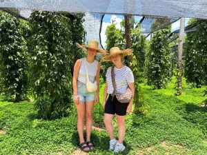 bezoek aan de peperplantages van Kampot