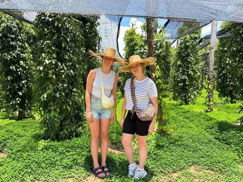 bezoek aan de peperplantages van Kampot