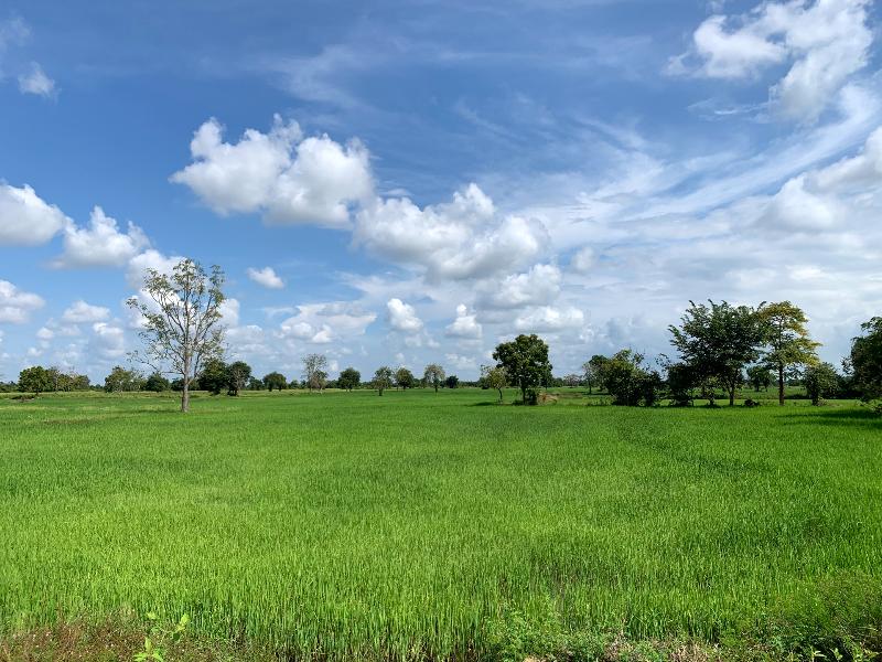 Landschap in Battambang - cambodja