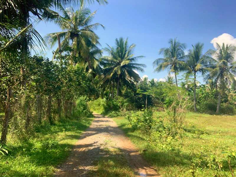 Battambang - cambodja