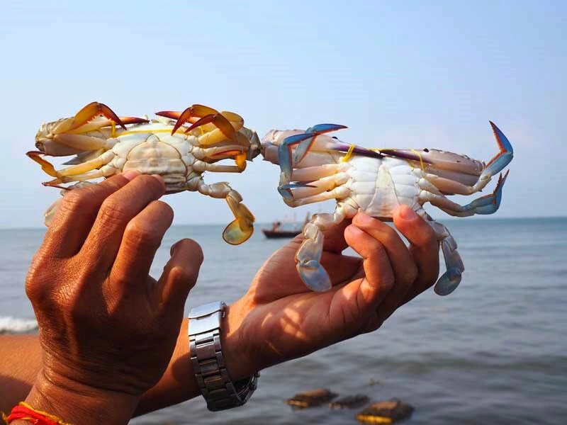 Krabben in Kep - Cambodja