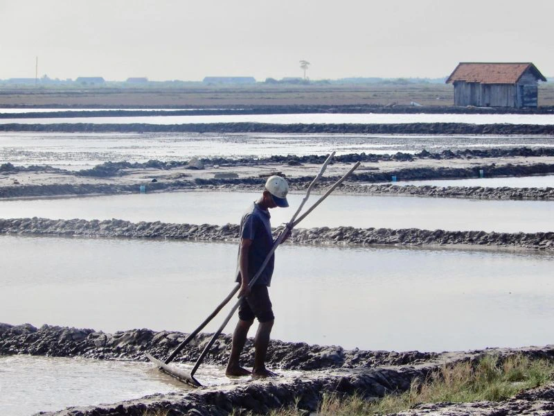 Cambodja boerderij