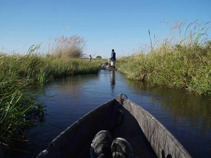 Kamperen okovango delta