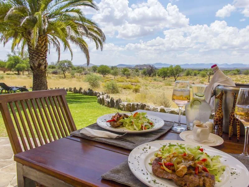 diner met uitzicht op de Afrikaanse natuur