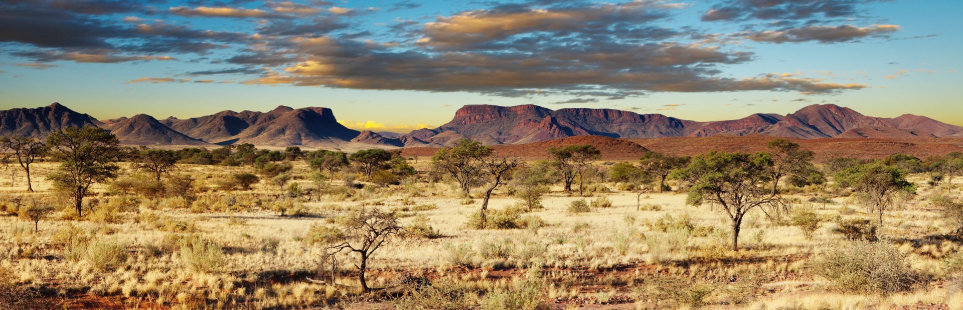Uitgestrekt landschap Namibië