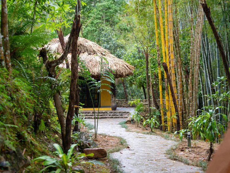 ecolodge ha giang vietnam