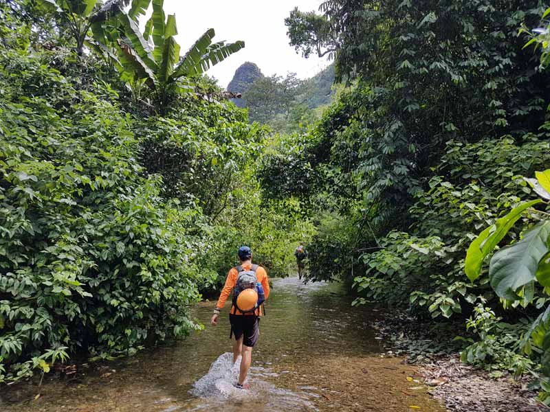 Jungle Vietnam