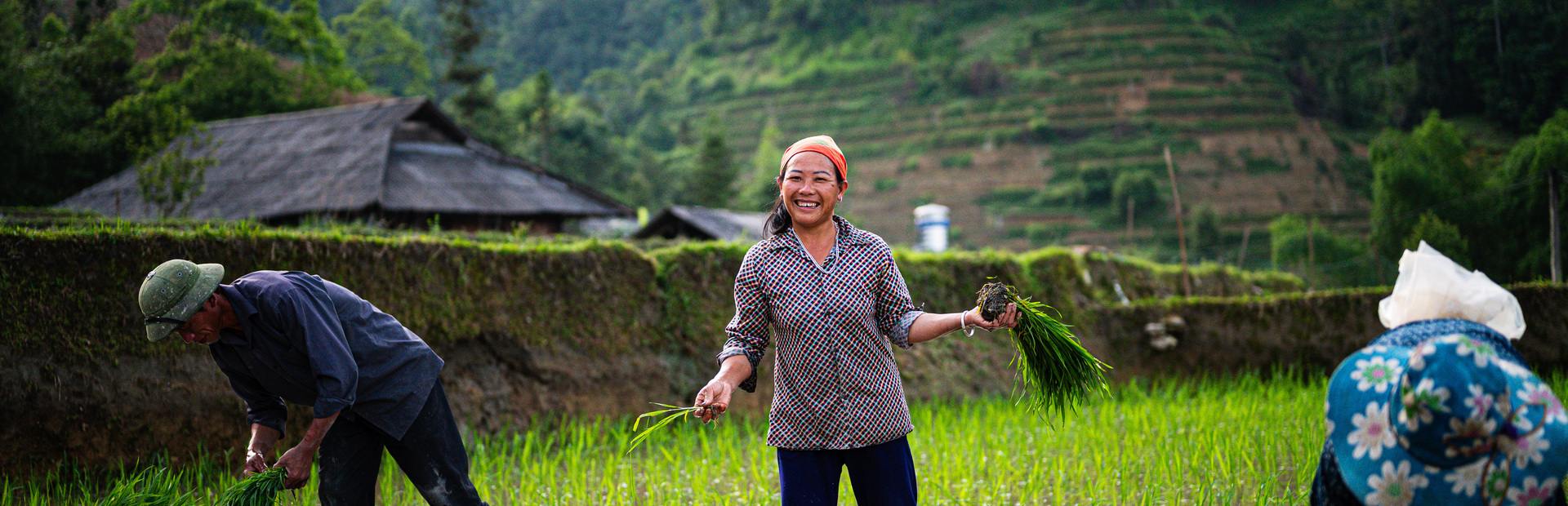 Vietnam Hoang Su Phi Pan Hou (20) (2)
