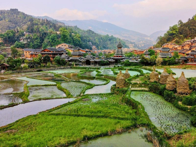 Zhaoxing rijstterrassen
