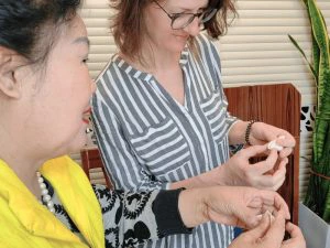 Dumpling koken in Beijing