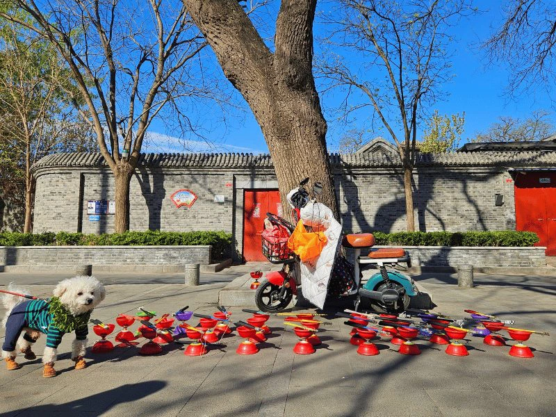 In de hutongs van Beijing