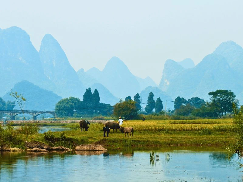 Karstbergen van Yangshuo