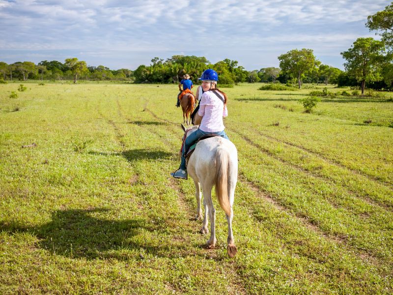 Paardrijden Pantanal
