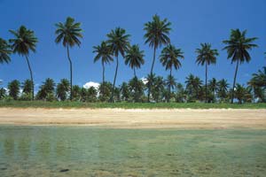 brazilie porto galinhas