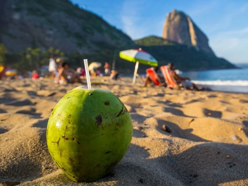 kokosnoot op strand rio de janeiro