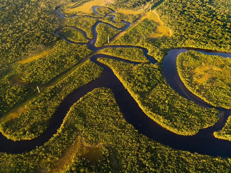 Amazone in Brazilie