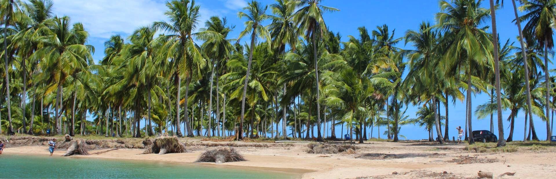 Strand met palmbomen Brazilie