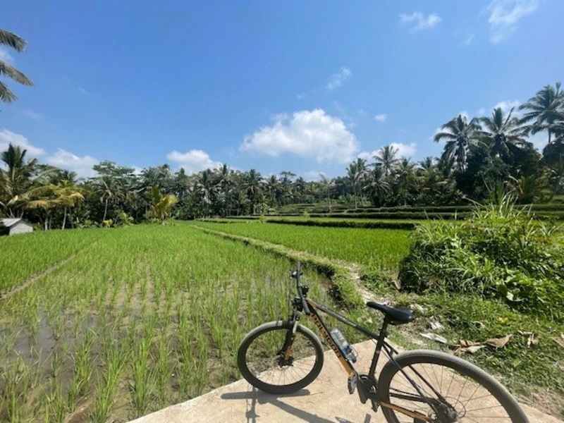 Fietsen
